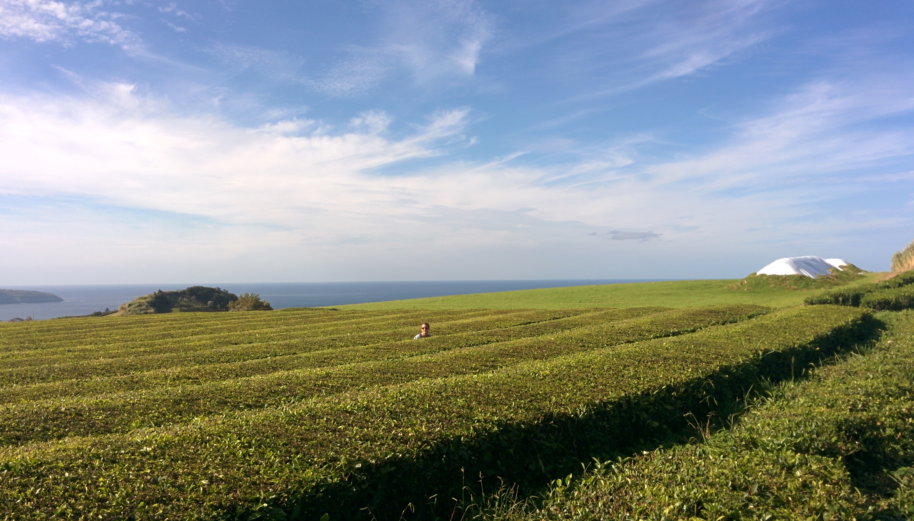 Azores - Sao Miguel