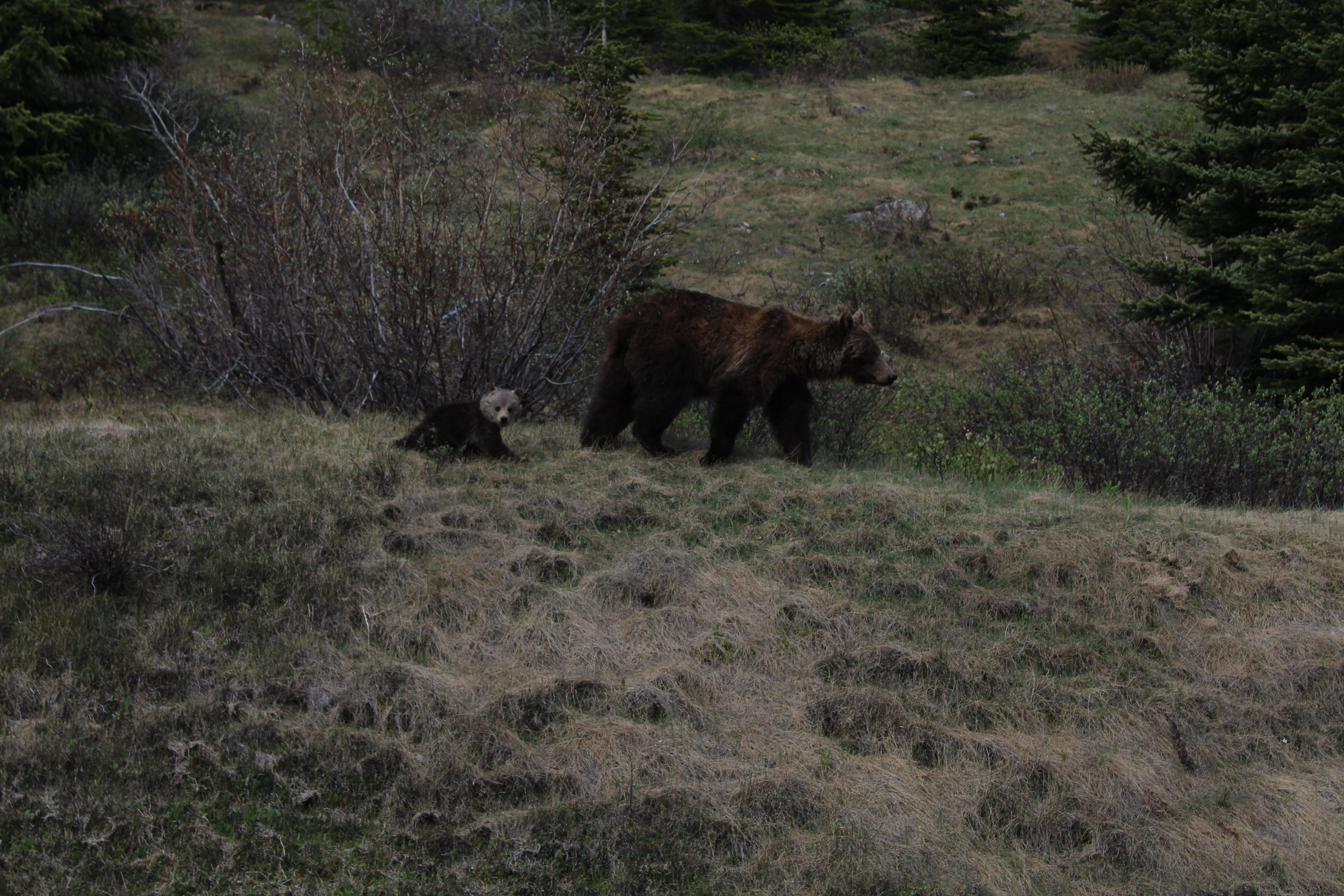 Banff National Park