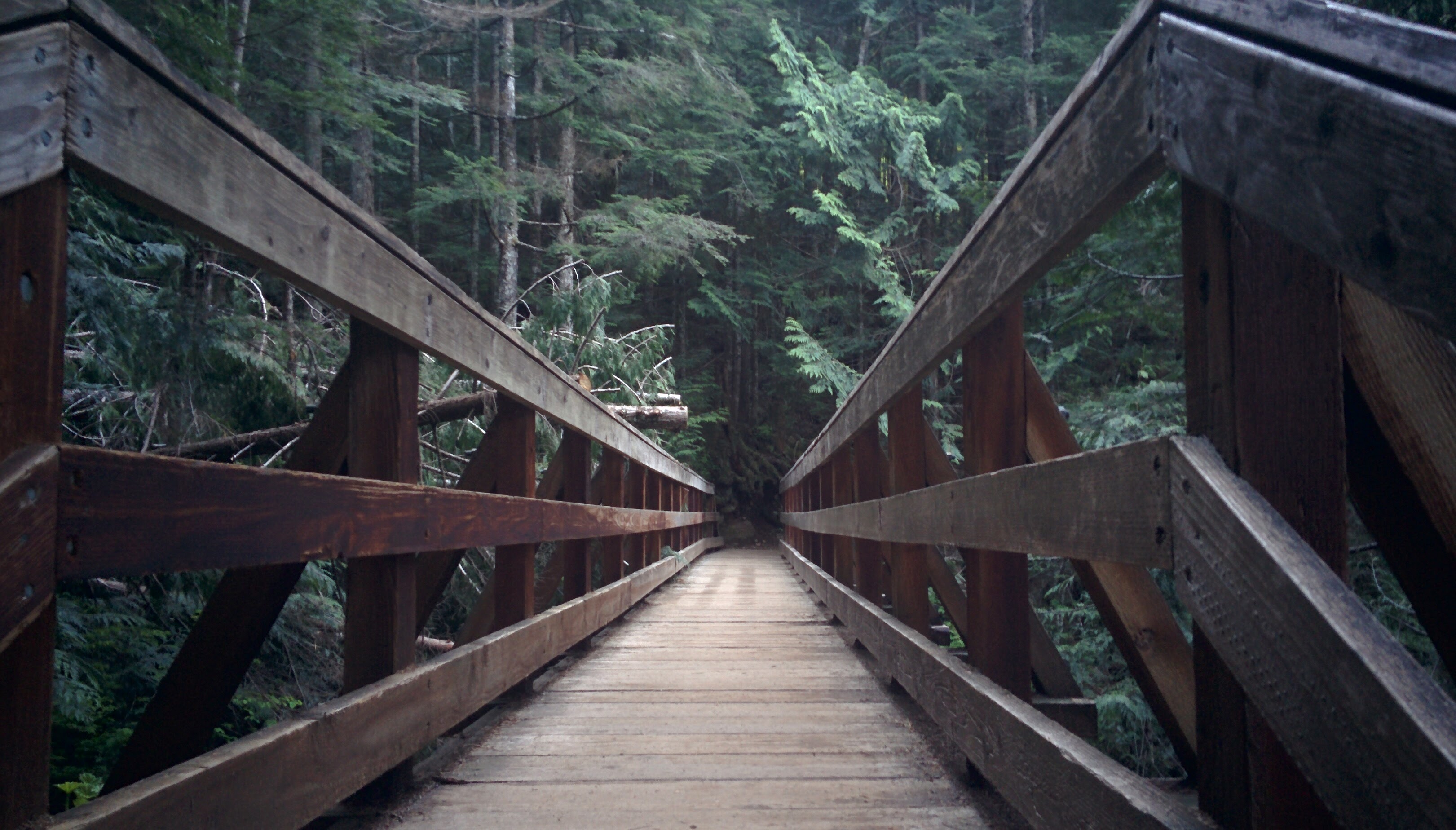 Lake Serene