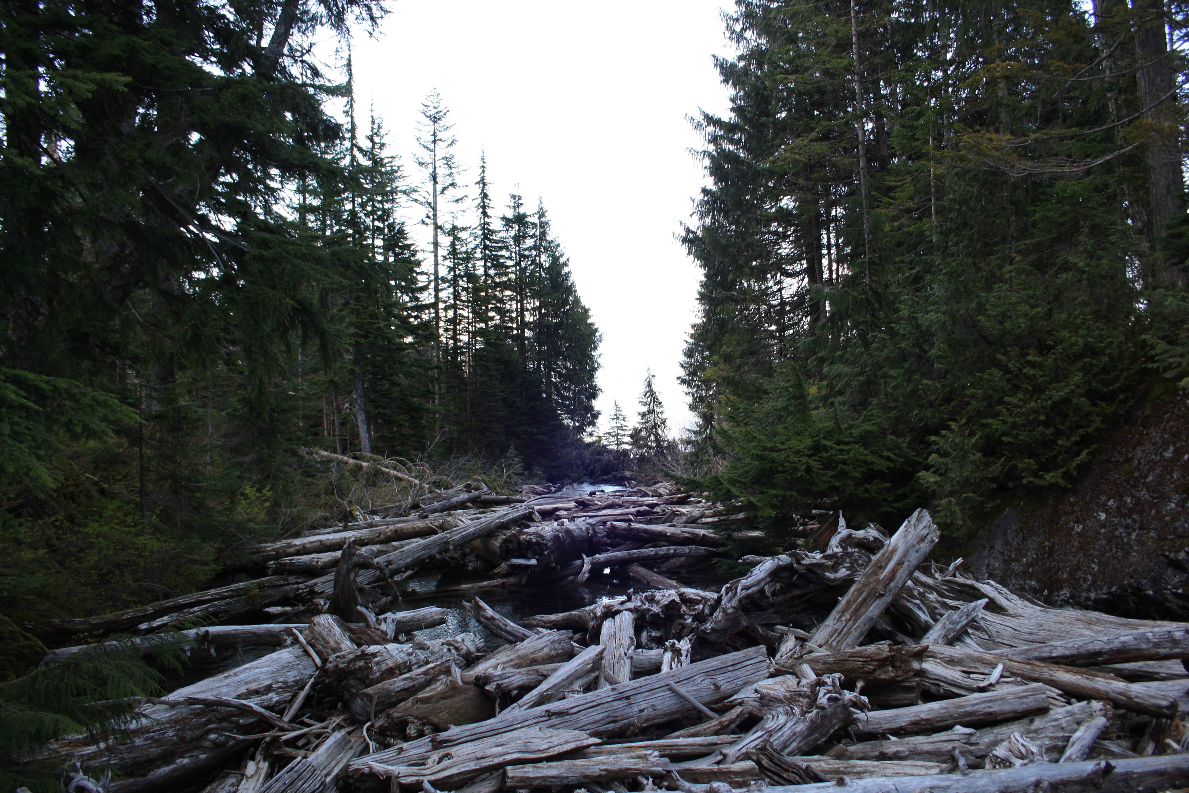 Lake Serene