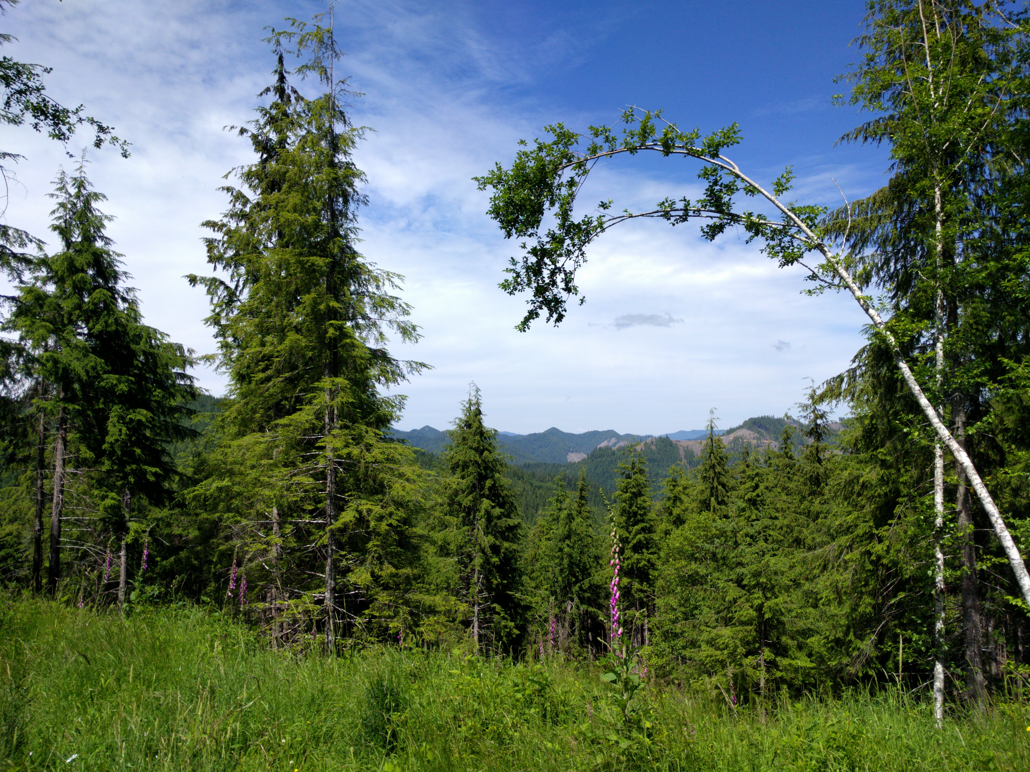 Olympic National Park, Washington