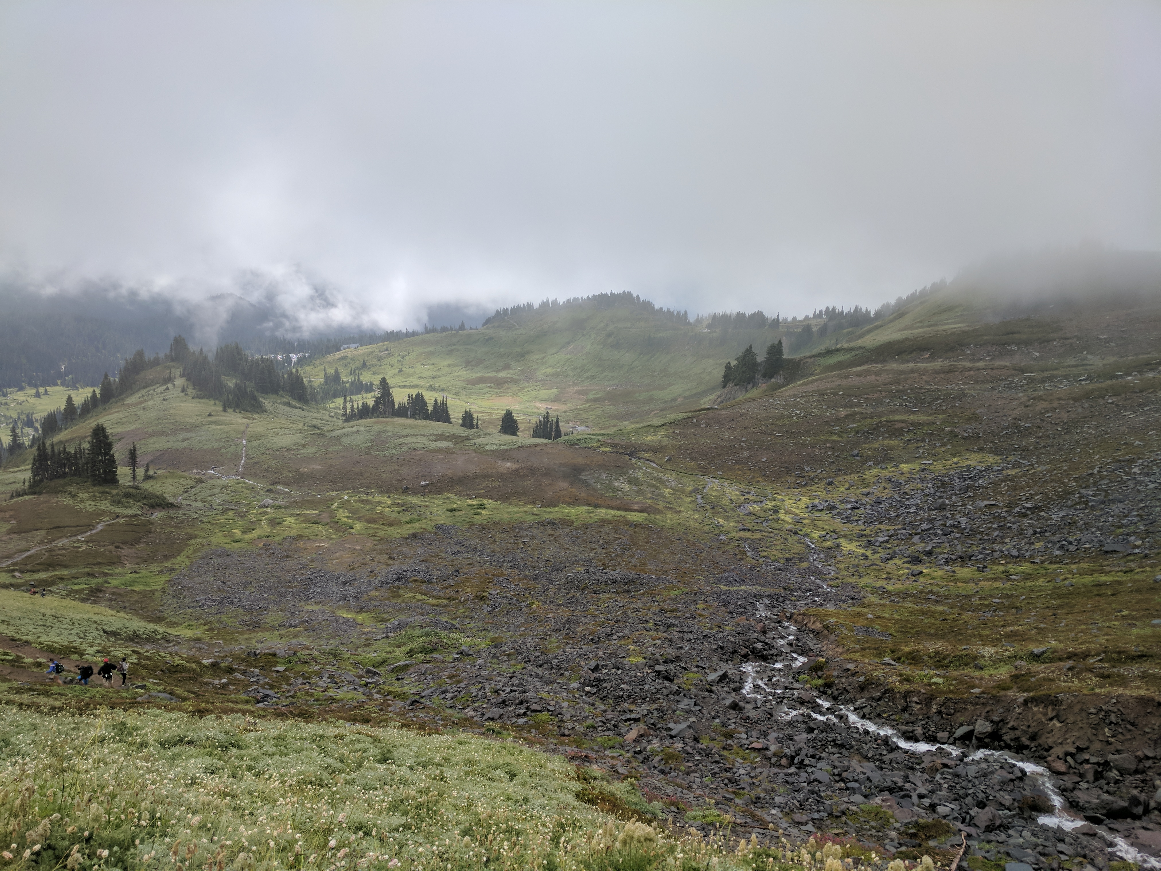 Paradise, Mt. Rainier, Washington