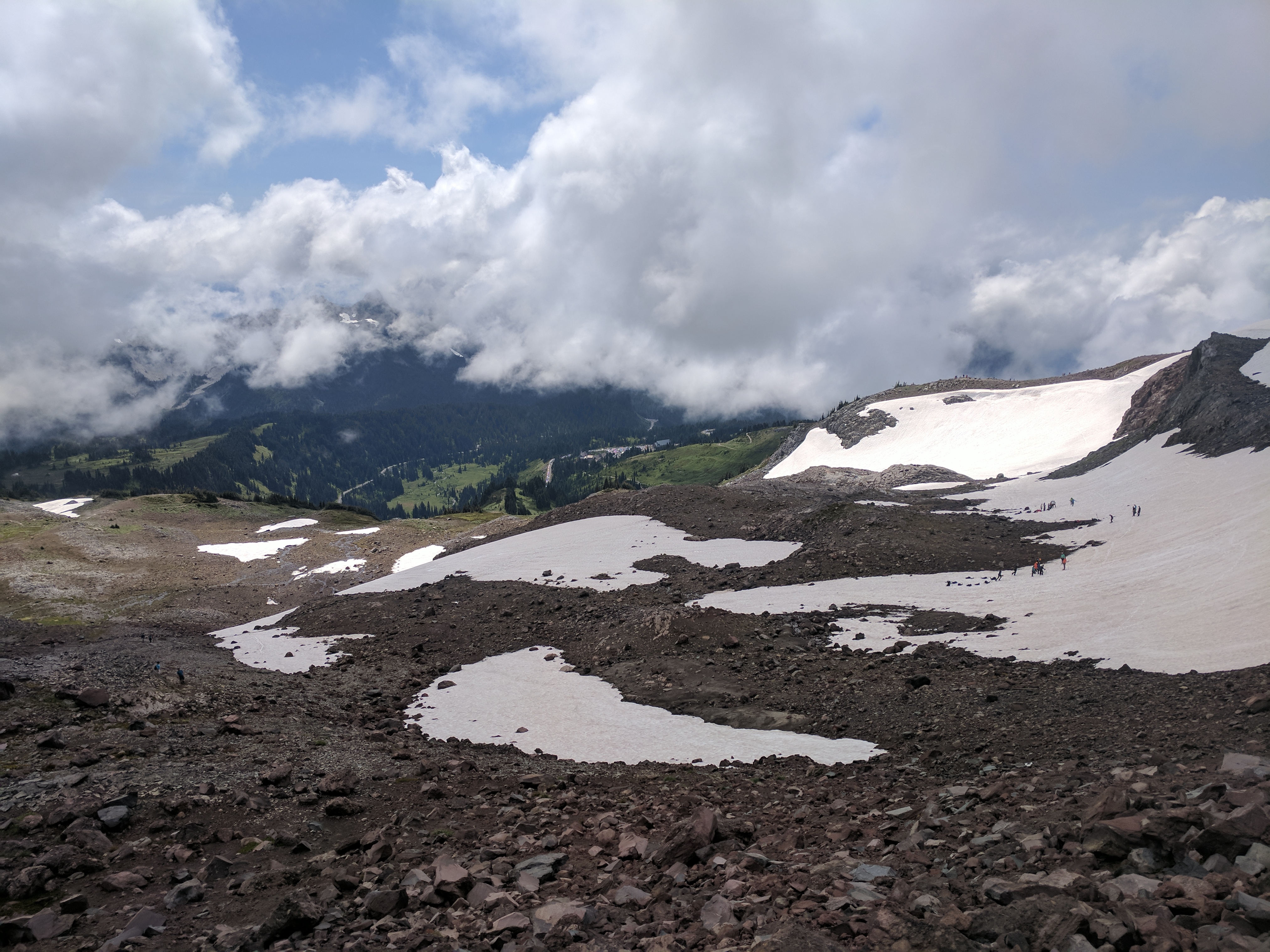 Paradise, Mt. Rainier, Washington