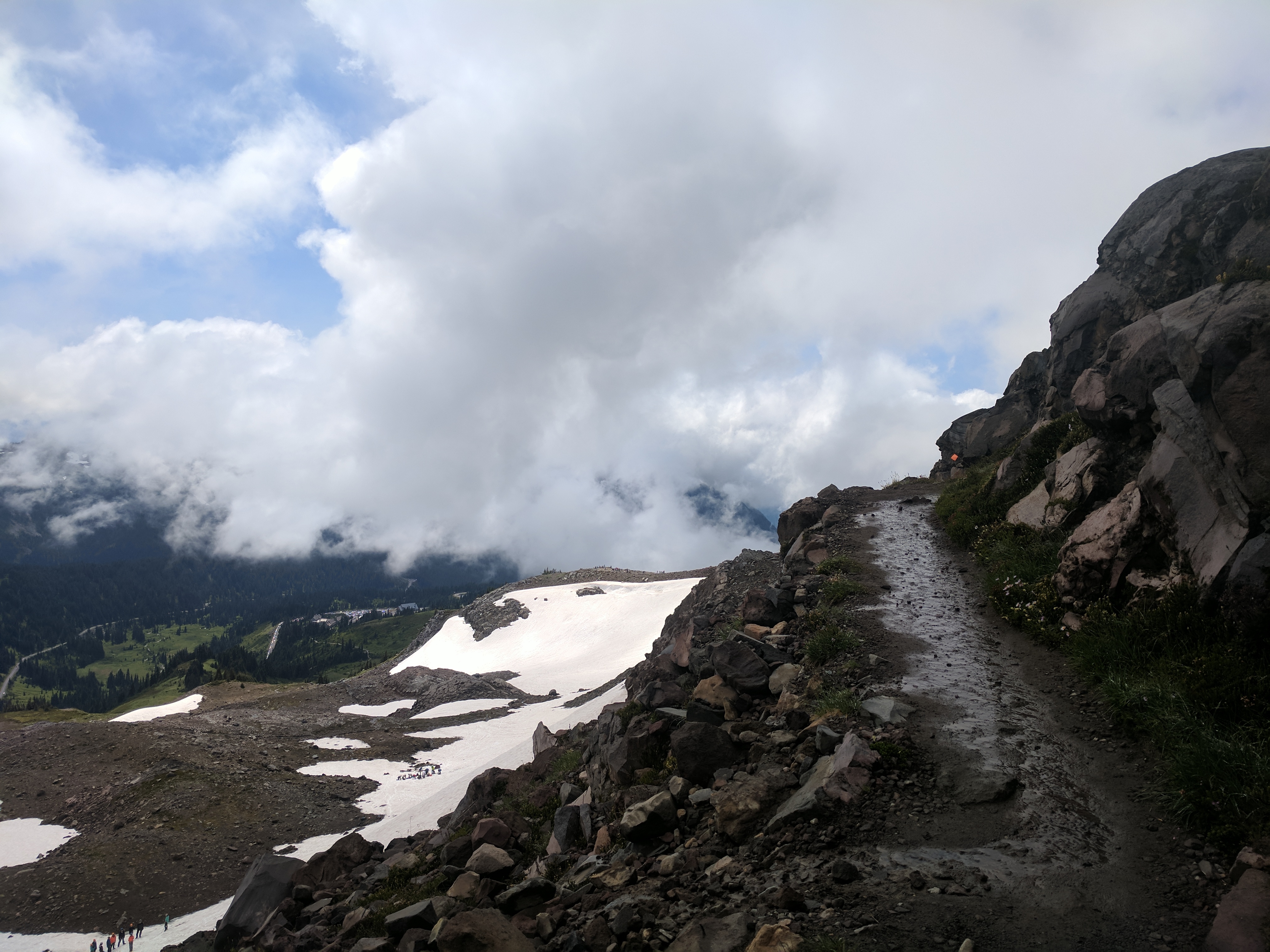 Paradise, Mt. Rainier, Washington