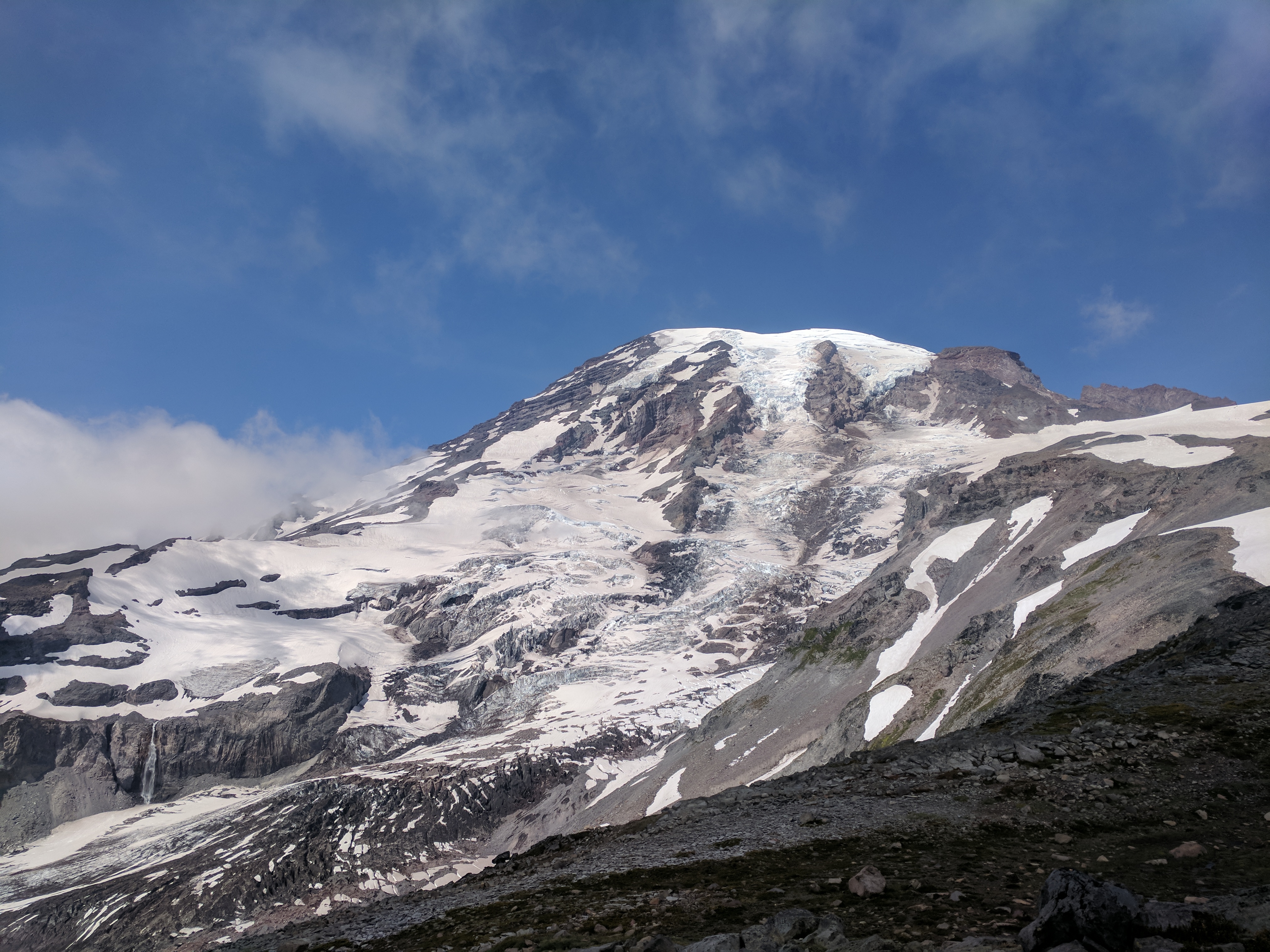 Paradise, Mt. Rainier, Washington