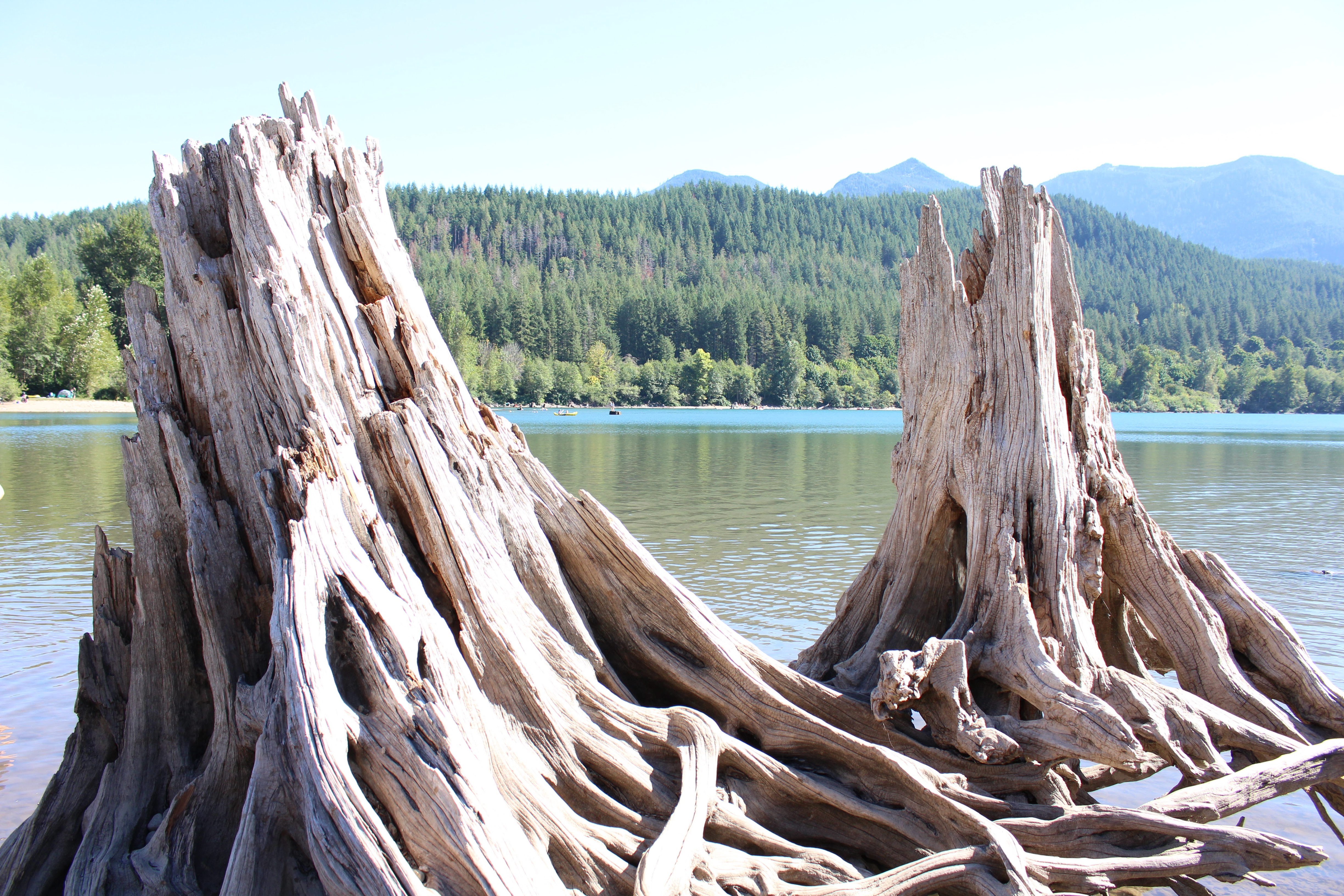 Rattlesnake Ridge, Washington