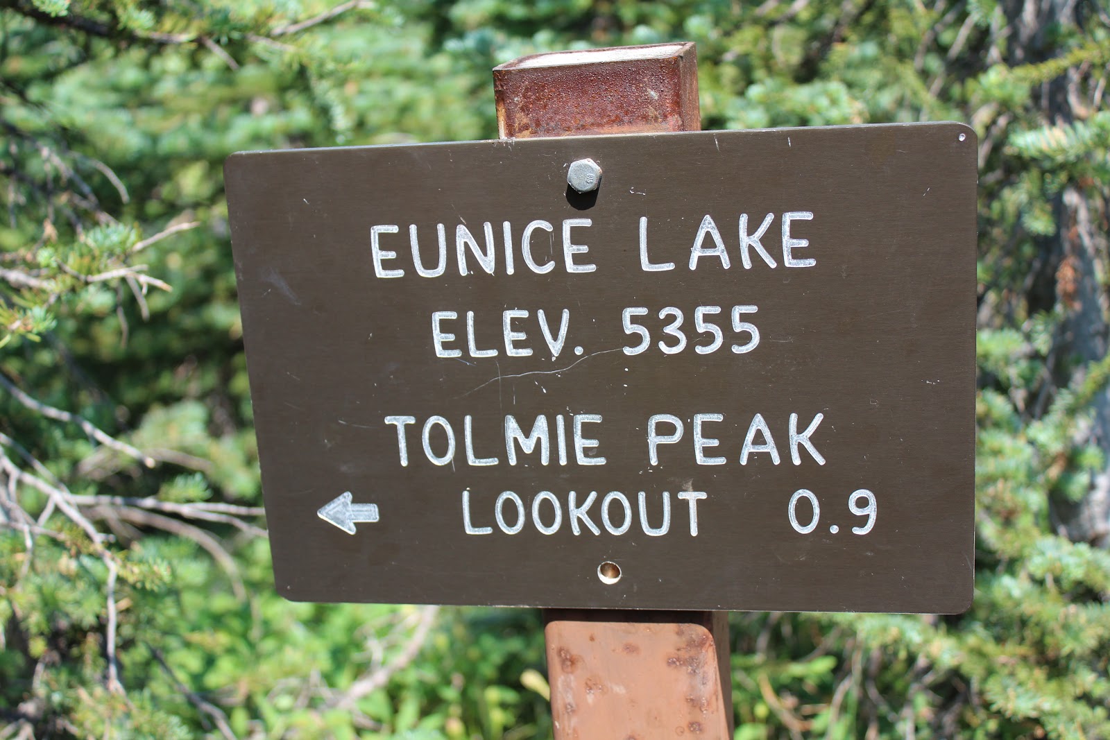 Tolmie Peak, Mt. Rainier, Washington