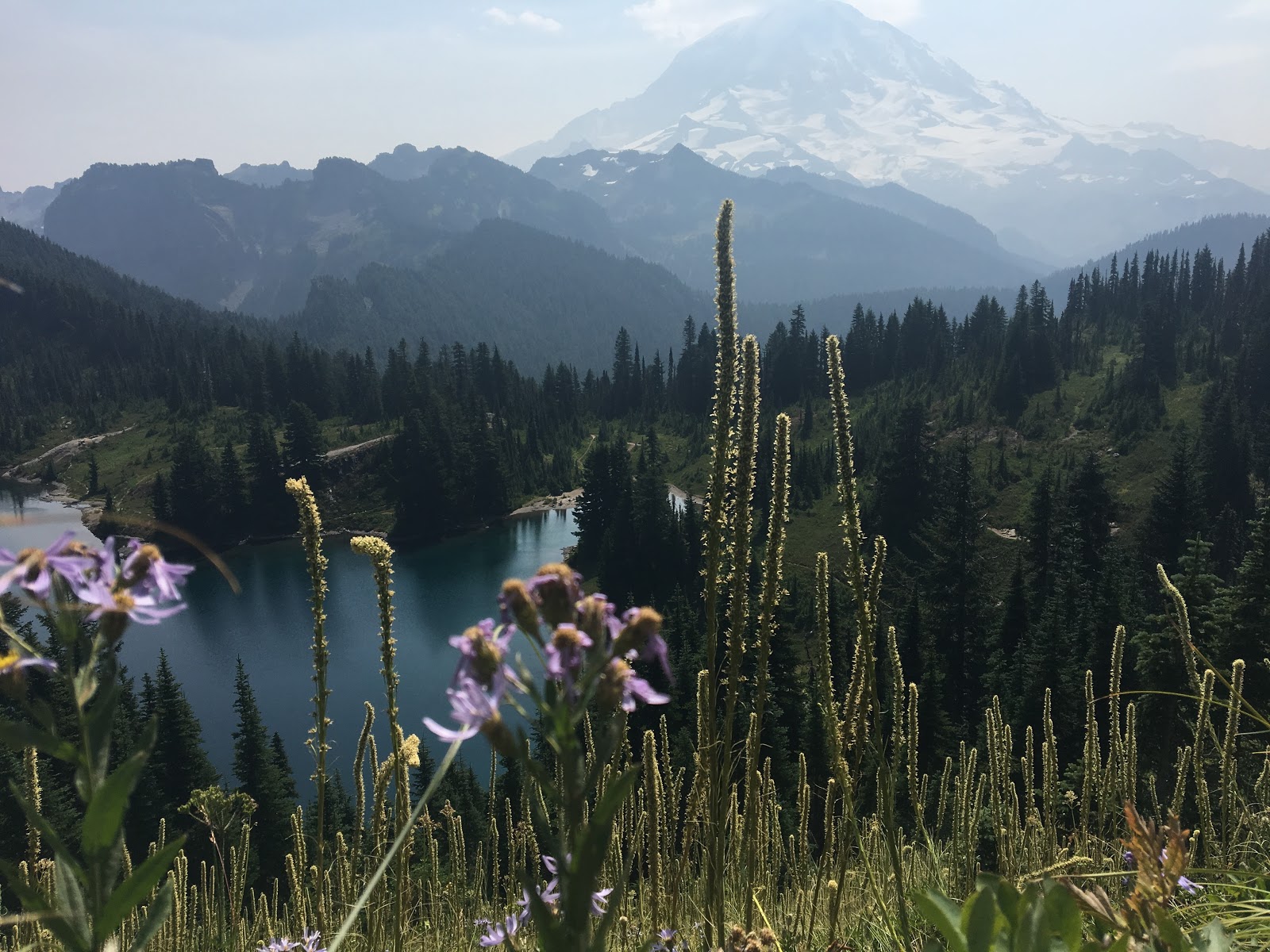 Tolmie Peak, Mt. Rainier, Washington