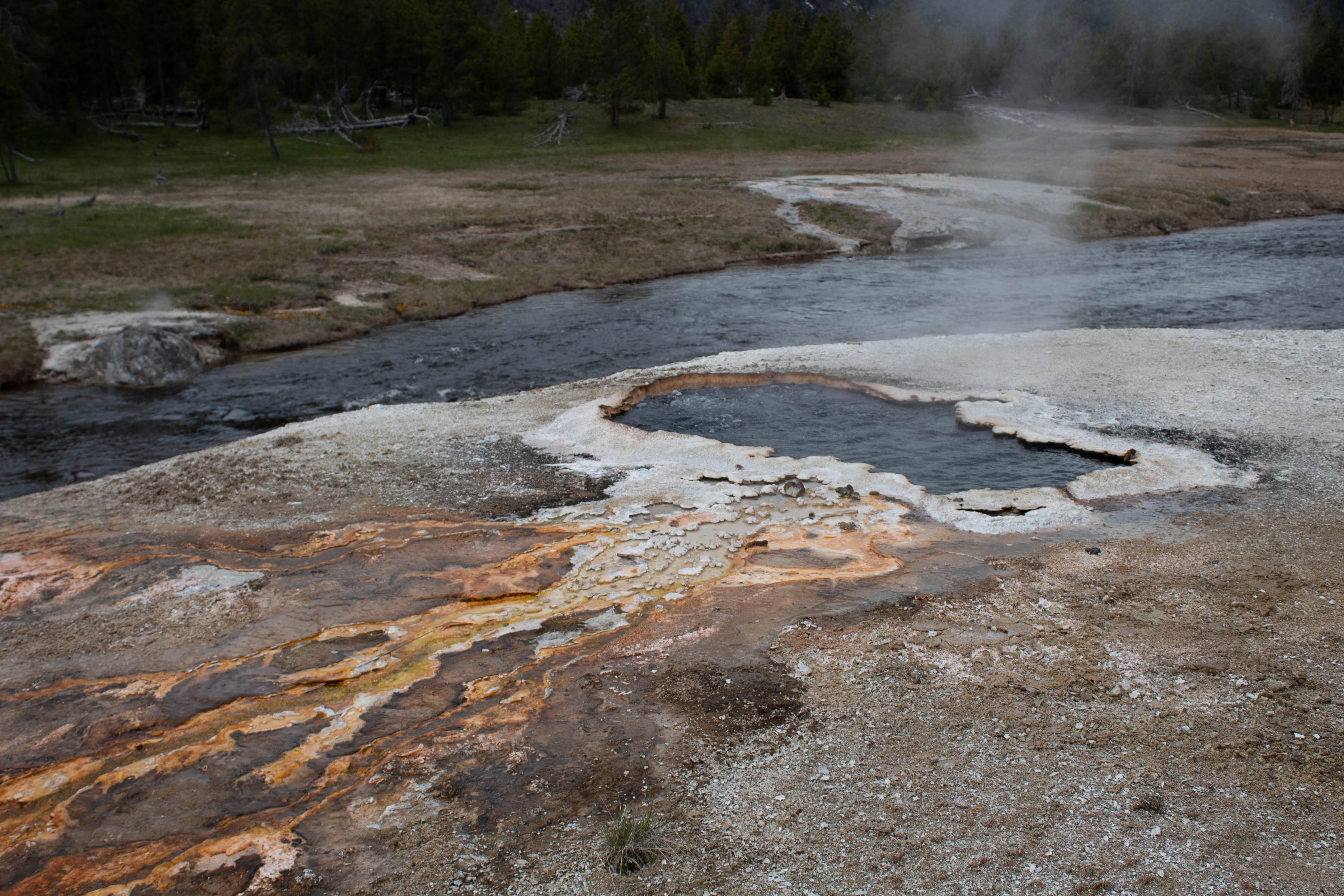 Yellowstone National Park