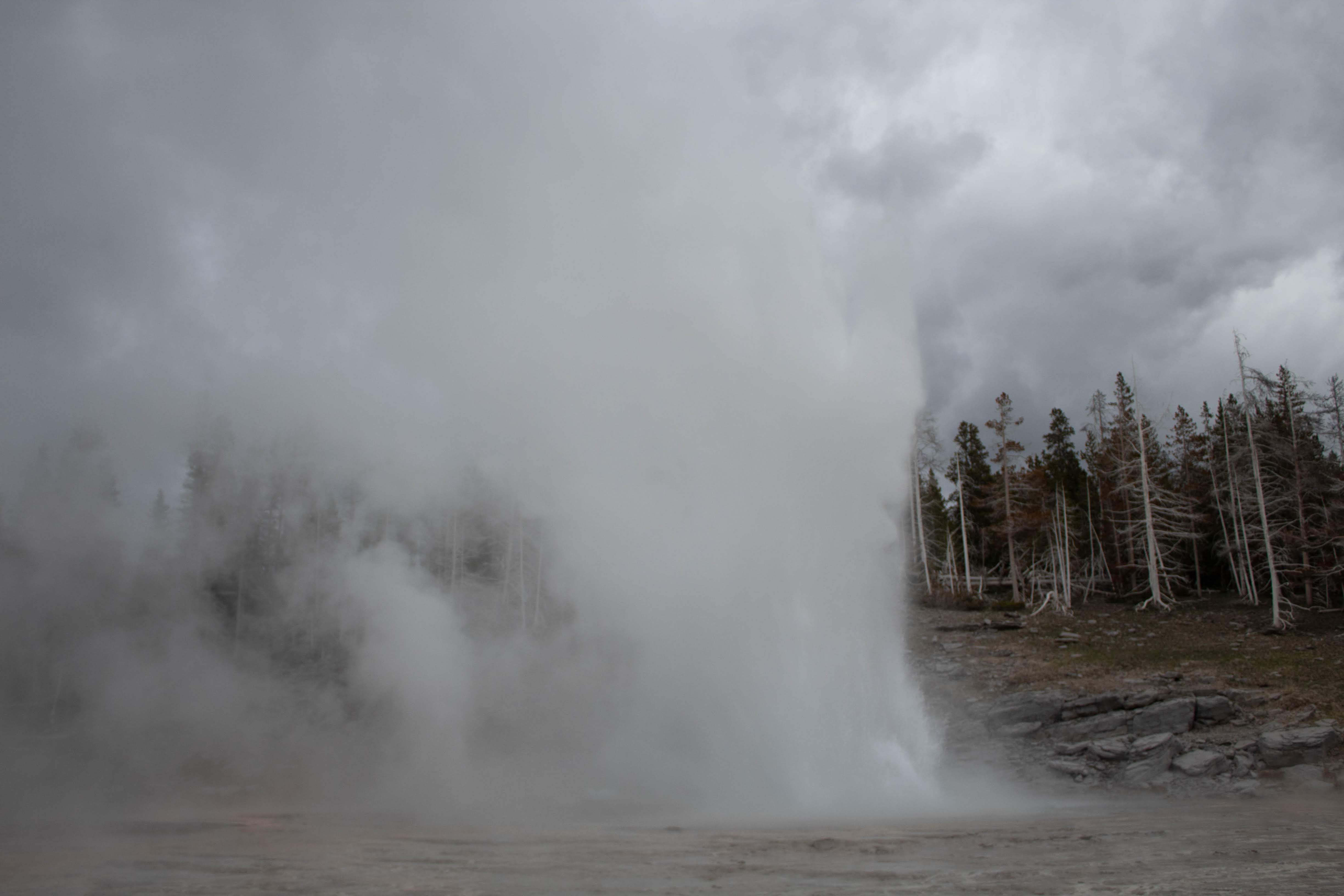 Yellowstone National Park